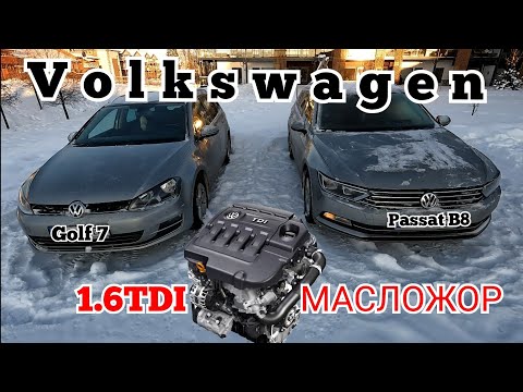 Видео: МАСЛОЖОР 1.6 TDI. Устраняем ЖОР масла Volkswagen, Skoda, Audi, SEAT ...