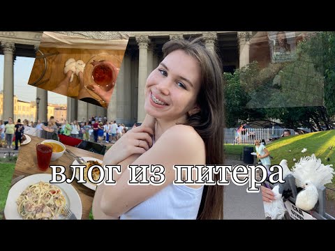 Видео: VLOG: переезд в Питер. Поступление в Горный.Красивая общага, красивый Питер
