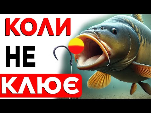Видео: Коли короп не клює — допоможе зіг-ріг! Поводок, прикормка на коропа, тактика, лайфхаки і поради!