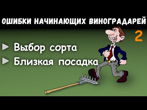 Видео: Ошибки начинающих виноградарей. Часть 2