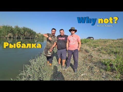 Видео: РЫБАЛКА На Канале за 160 км от ТАШКЕНТА, снова в деле и на природе