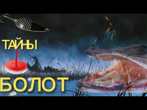 Видео: 🤔КАК НЕ ОСТАТЬСЯ БЕЗ РЫБЫ В ЖАРУ?  КРУЖКИ и СПИННИНГ на БОЛОТЕ Алтайского Края.