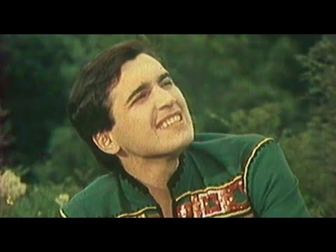 Видео: Назарій Яремчук, пісня Стожари [1981]