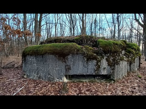 Видео: В середині ДОТа.