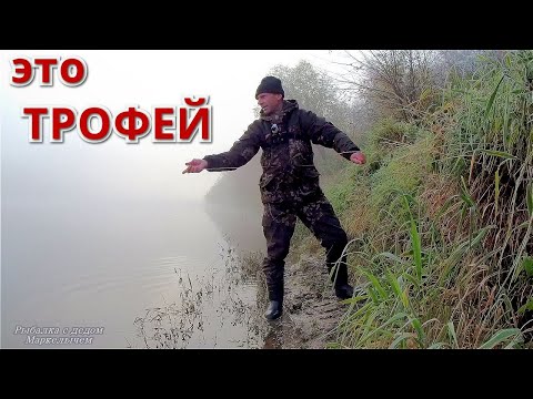 Видео: ТРОФЕЙ на крючке. Когда ловить НАЛИМА. Рыбалка на ДОНКИ с ЖИВЦОМ на ОКЕ.