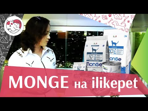 Видео: Monge на ilikepet