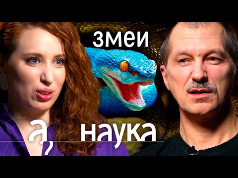 Видео: Что делать при укусе змеи? Чей яд самый опасный? И как выглядит змеиная любовь? Евгений Рыбалтовский