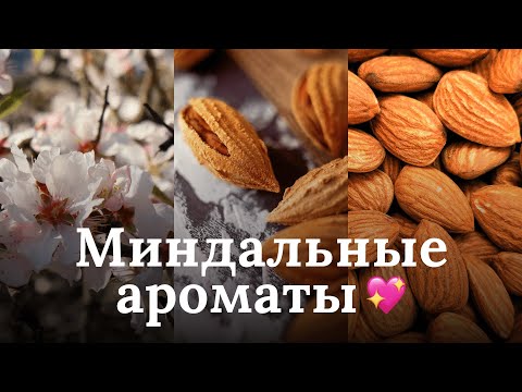 Видео: МИНДАЛЬНЫЕ АРОМАТЫ | ТОП-5 ПАРФЮМОВ С НОТОЙ МИНДАЛЯ | RENARD NOIR