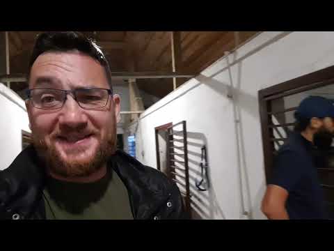 Видео: Кабардинская порода лошадей, 10 дней по 100 км.