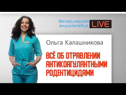 Видео: Всё об отравлении антикоагулянтными родентицидами