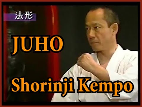 Видео: Мягкий метод в боевых искусствах. Техники Дзюхо Сёриндзи Кэмпо. Сенсей Арай. Сёриндзи Кэмпо. Лекц...