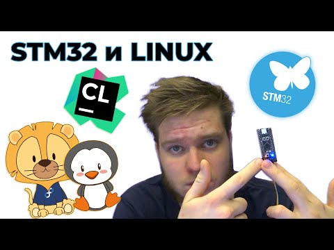 Видео: STM32 на Linux