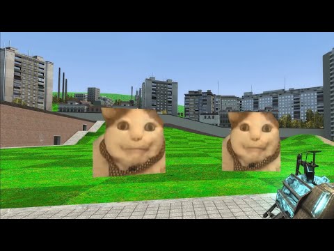 Видео: бу испугался