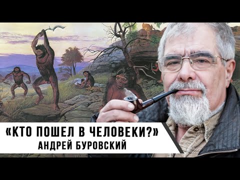 Видео: «Кто пошел в Человеки?» | Андрей Буровский