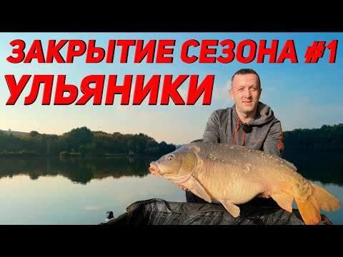 Видео: Закрытие сезона | Ловля карпа Ульяники | Карпфишинг