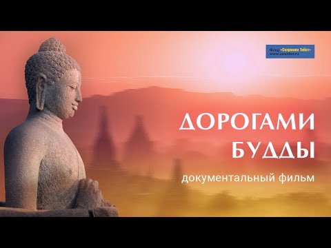 Видео: Дорогами Будды