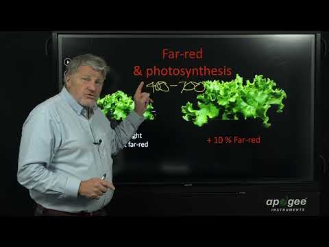 Видео: Действительно ли PAR составляет 400–700 нм? Кривая МакКри: пересмотр и доказательства: ePAR долже...