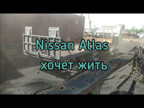 Видео: Nissan Atlas хочет жить и будет жить