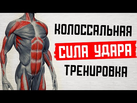 Видео: Увеличь СИЛУ УДАРА: Пробивная сила