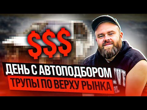 Видео: Трупы по верху рынка| День с автоподбором| #саняпоможет