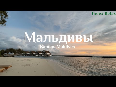 Видео: Осень на Мальдивах. Наслаждаемся отдыхом в Bandos Maldives