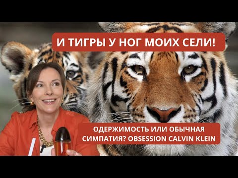 Видео: OBSESSION CALVIN KLEIN. ОДЕРЖИМОСТЬ ИЛИ НЕТ?#парфюмерия #парфюмерныйблогер #obsessioncalvinklein