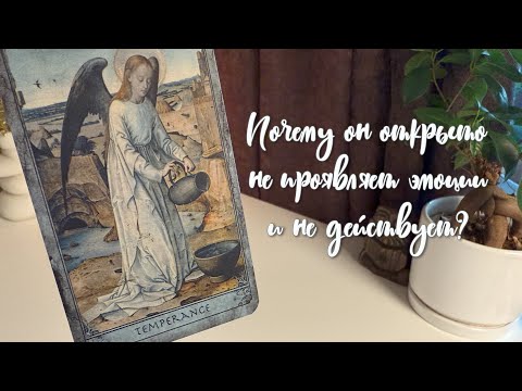 Видео: Почему он открыто не проявляет эмоции и не действует?
