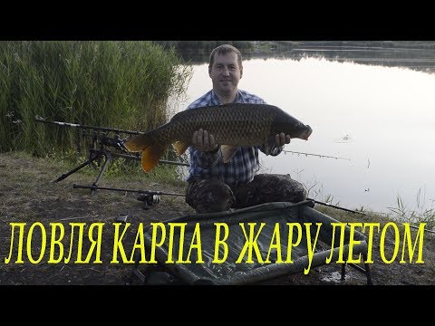Видео: Ловля карпа в жаркую погоду летом на пруду Липов Лог