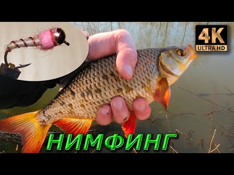 Видео: НИМФЫ. Мормышинг. Вот это Красноперочка!!!