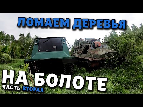 Видео: Испытываем Водомер по болоту! Валим по лесу! часть 2