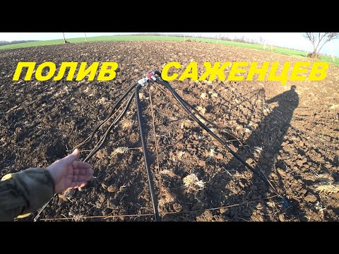 Видео: 68. КУПИЛИ УСАДЬБУ, ВОССТАНАВЛИВАЕМ! Поливалка для винограда