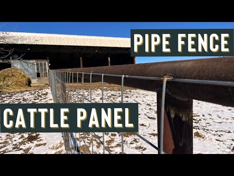 Видео: Трубчатый забор и панель для скота