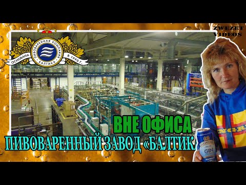 Видео: Вне офиса.  Пивоваренный завод Балтика