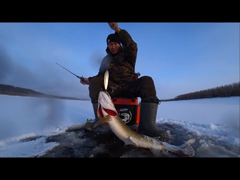 Видео: ЛЕСКА ТРЕЩАЛА ПО ШВАМ! НО Я ЕЕ ВЫТАЩИЛ!