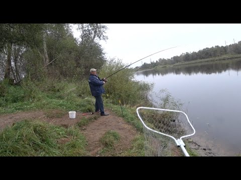 Видео: Ловля Окуня. Уловы и Лучшие Приманки.