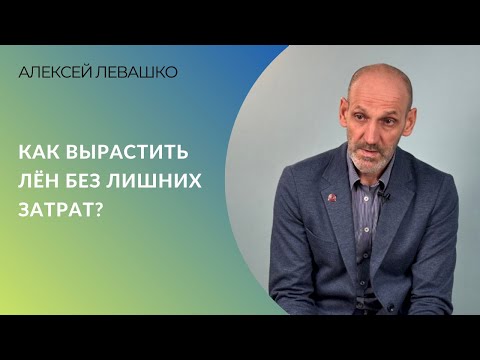 Видео: Как вырастить лён без лишних затрат? | Алексей Левашко, ГК «Астон»