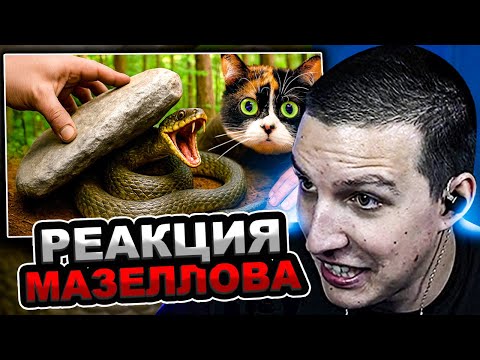 Видео: МАЗЕЛЛОВ СМОТРИТ SlivkiShow - Я ПЕРЕВЕРНУЛ 100 КАМНЕЙ В ЛЕСУ, И ВОТ ЧТО ТАМ НАШЕЛ | РЕАКЦИЯ МАЗЕЛОВА