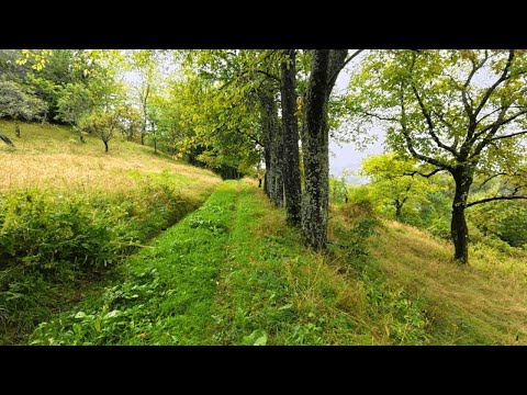 Видео: Дорога з хутора до магазину: як далеко йти