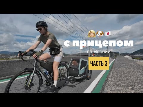 Видео: ВЕЛОТУР ПО ЯПОНИИ. ОСТАНОВИЛА ПОЛИЦИЯ. ОНСЕН. ДОГФРЕНДЛИ ОТЕЛЬ В ЯПОНИИ