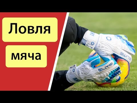 Видео: Ловля мяча низом и на средней высоте! Тренировка вратарей.