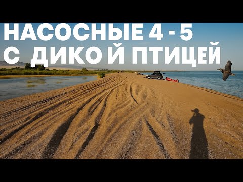 Видео: Капчагайское водохранилище.|Посёлок Шенгельды |Насосные 4 - 5
