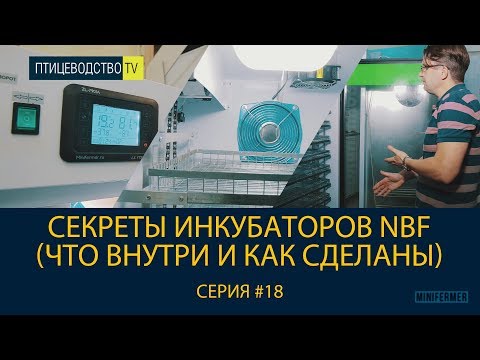 Видео: Секреты инкубаторов для яиц марки NBF (что внутри и как сделаны)! Птицеводство ТВ#18