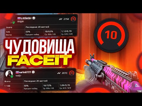 Видео: Быдло и Токсики Меня Преследуют На Faceit