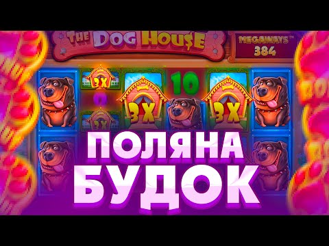 Видео: ОГРОМНАЯ ПОЛЯНА БУДОК ПО СТАВКЕ ****Р В THE DOG HOUSE MEGAWAYS??ЛЮТЫЙ КАМБЭК ИЛИ НОЛЬ??