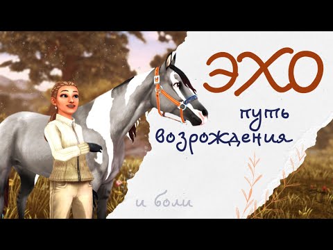 Видео: июнь - сентябрь: победили травму!