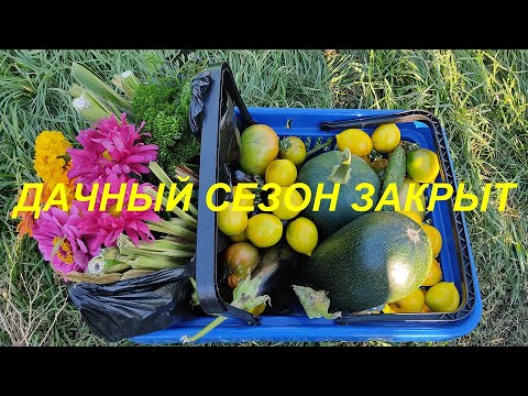 Видео: ЗАКРЫТИЕ ДАЧНОГО СЕЗОНА 1часть. УБИРАЮ, ПОДМЕТАЮ, СОБИРАЮ.