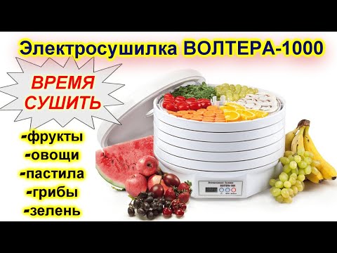 Видео: 🔴Обзор сушилки для фруктов Волтера 1000 Люкс🔴Ответы на важные вопросы🔴 Пастила из яблок и сливы🔴