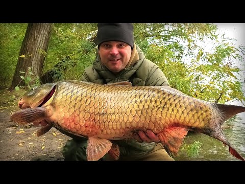 Видео: Машок по Осіні рахують !!! Хід Крупняка на Зимовку !!!