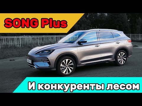 Видео: BYD Song Plus Champion edition. Познакомься и ты его захочешь!