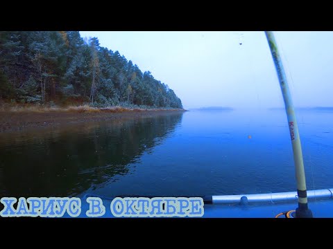 Видео: ХАРИУС В ОКТЯБРЕ | THE FIRST SNOW